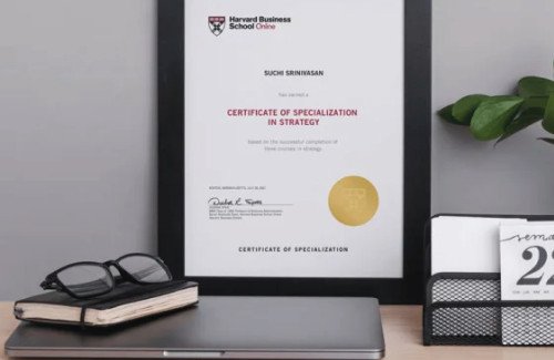İş Hayatında Uzmanlaşmanın Yolu: Sertifika Programlarında Nelere Dikkat Etmeli?